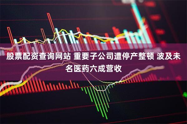 股票配资查询网站 重要子公司遭停产整顿 波及未名医药六成营收