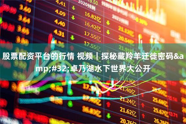 股票配资平台的行情 视频｜探秘藏羚羊迁徙密码 卓乃湖水下世界大公开
