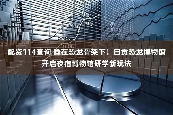 配资114查询 睡在恐龙骨架下！自贡恐龙博物馆开启夜宿博物馆研学新玩法